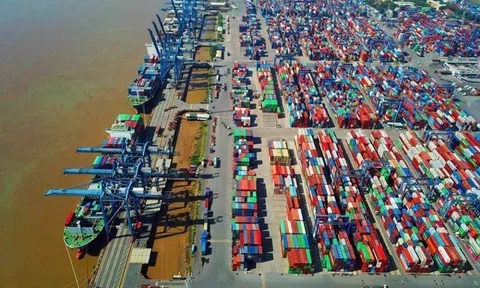 Xuất nhập khẩu hàng hóa giảm hơn 200 tỷ USD